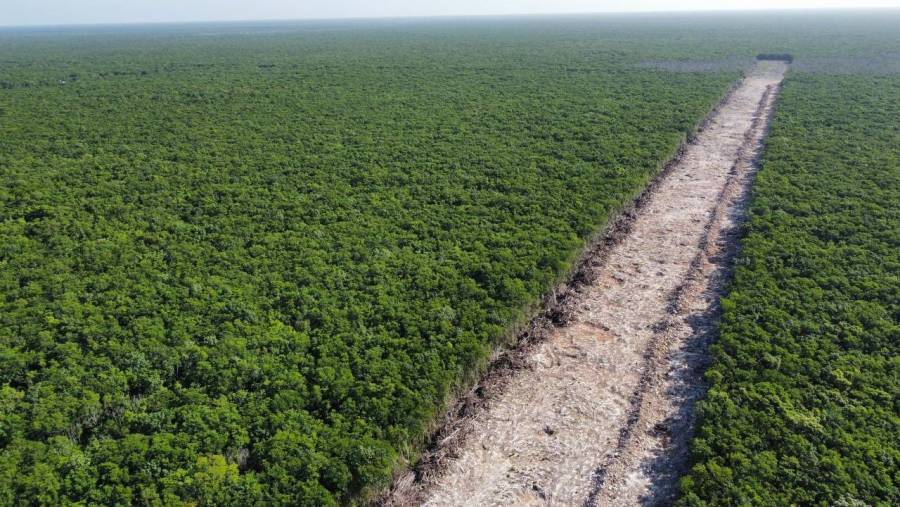 Declaran a Tren Maya como obra de seguridad nacional