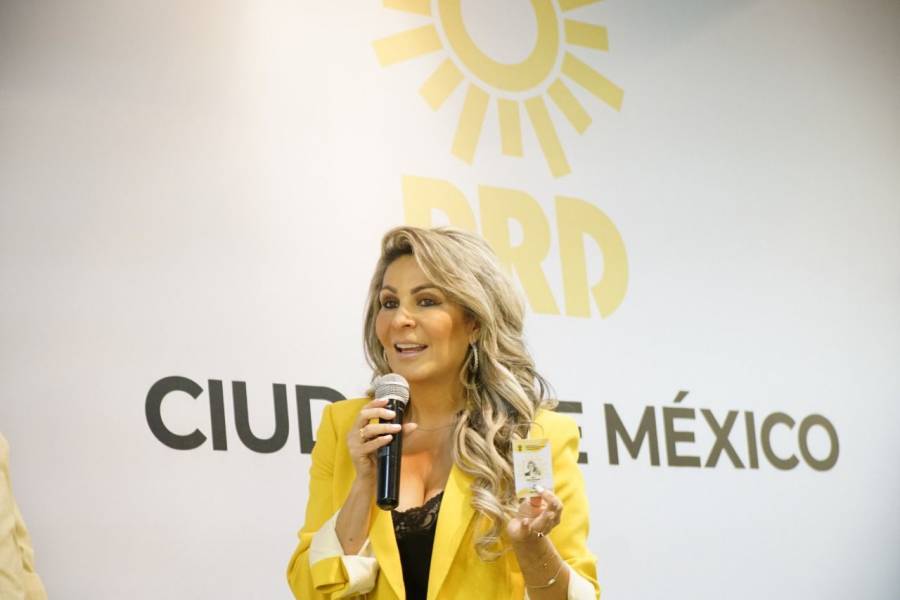 PRD CDMX, aún sin precandidatos a la Jefatura de Gobierno: Nora Arias