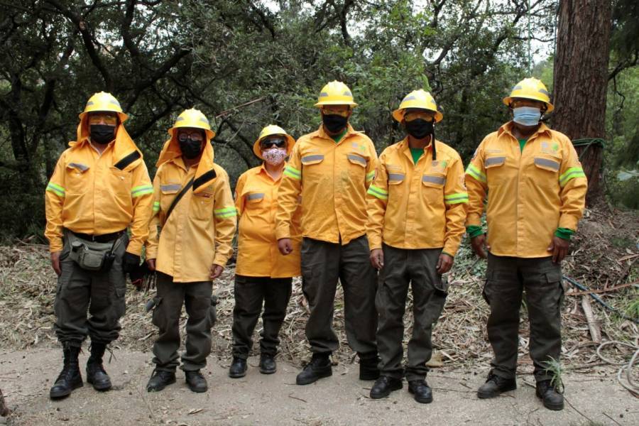 Continúa Sedema con trabajos de rehabilitación y mantenimiento en Barranca Tarango