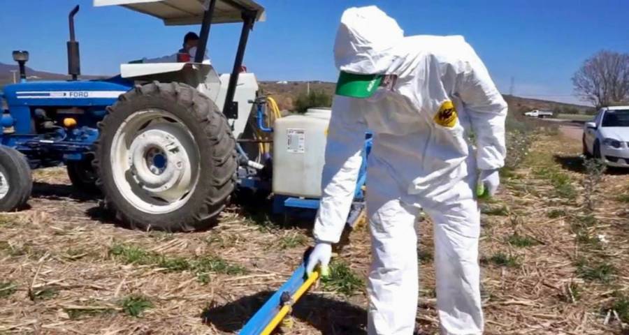 UMFFAAC, dice que Conacyt miente y decreto que prohibe glifosato no está basado en evidencia científica