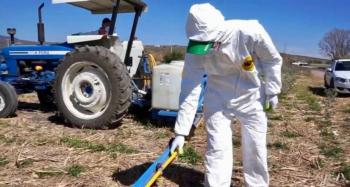 UMFFAAC, dice que Conacyt miente y decreto que prohibe glifosato no está basado en evidencia científica