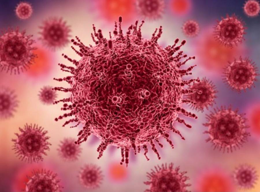 Despeja tus dudas acerca de la viruela del mono o la viruela símica