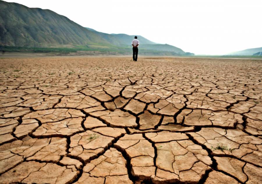 Las olas de calor continuarán hasta 2060 a causa del cambio climático