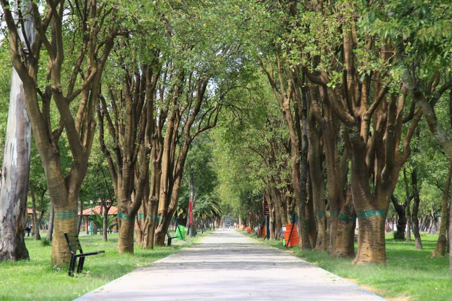 Organiza Sedema actividades rodeadas de naturaleza para disfrutar en vacaciones