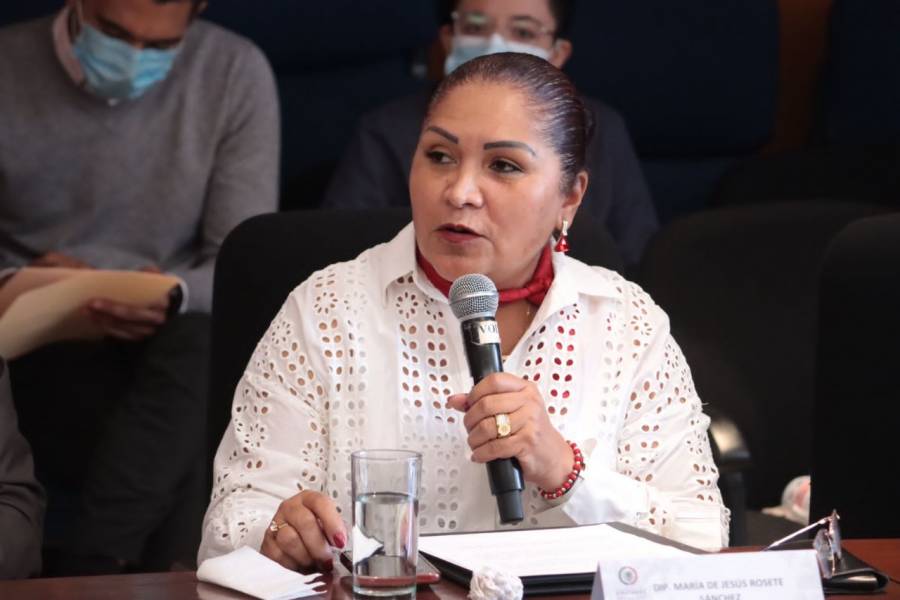 Urge diputada Rosete a legislar sobre comercio en vía pública