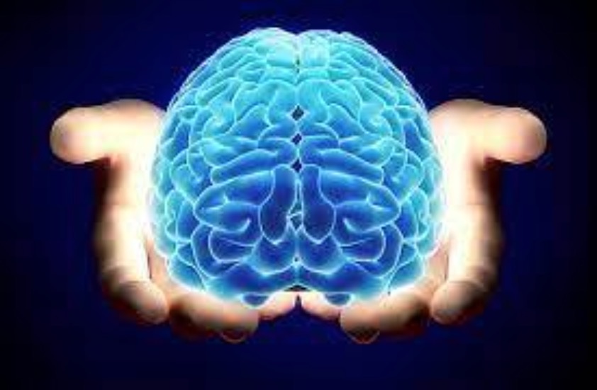 Recomienda IMSS Morelos practicar diferentes destrezas para mantener cerebro sano