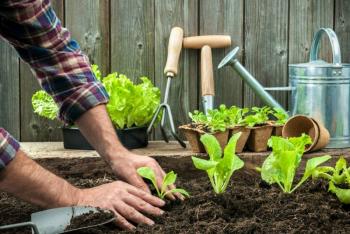 ¿Por qu&eacute; tener huertos ecol&oacute;gicos?
