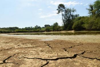 Expertos aseveran que calentamiento global podr&iacute;a provocar la extinci&oacute;n humana