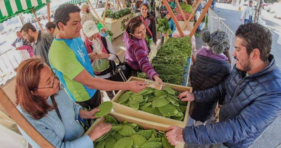 Podrán intercambiar padres de familia útiles escolares usados por hortalizas en el Mercado de Trueque