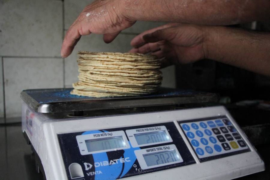 Gobierno Federal analiza subsidiar precio de tortilla