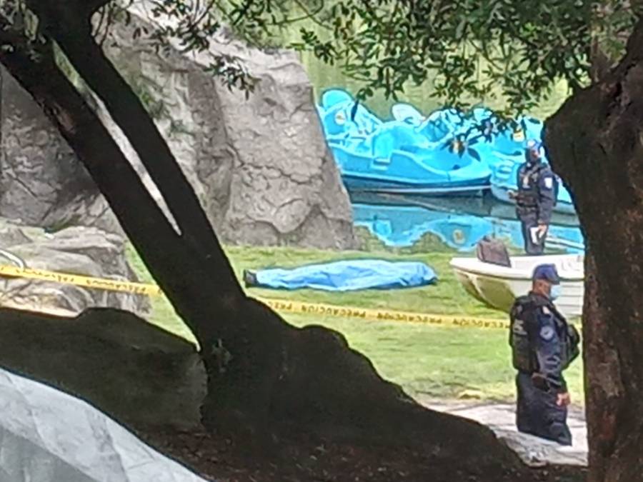 Hallan cuerpo sin vida flotando en el lago mayor del Bosque de Chapultepec