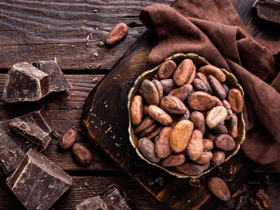 Estiman crecimiento en la producción de cacao nacional para 2022
