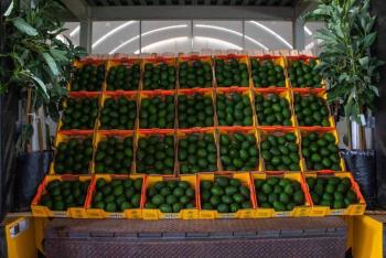 Aumenta 16% el comercio agroalimentario entre México y EU en primer semestre de 2022: Sader