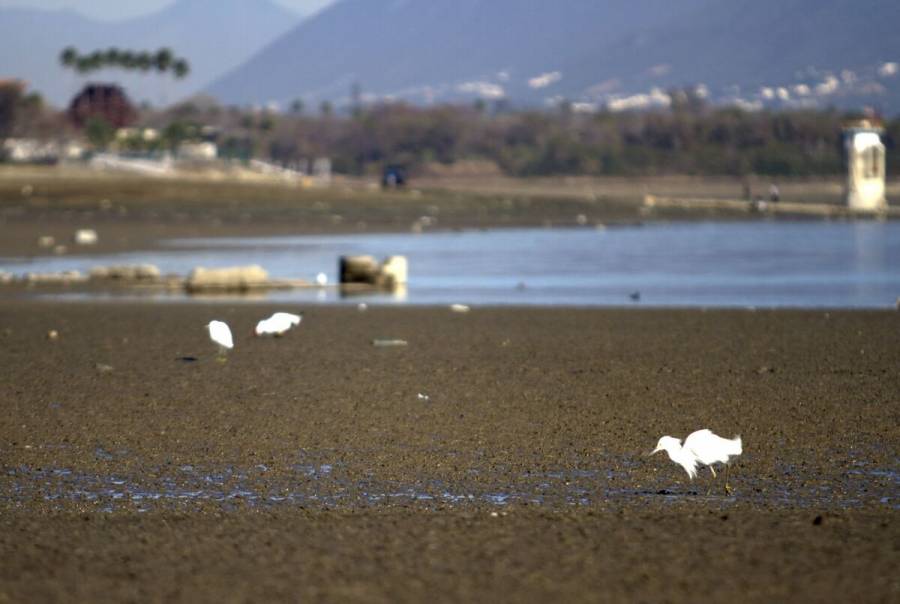 Estos son los estados más afectados por sequías; hay déficit de lluvia de 4.6%