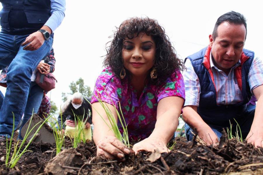 Iztapalapa tendrá huerta urbana sustentable en beneficio de economía familiar: Clara Brugada