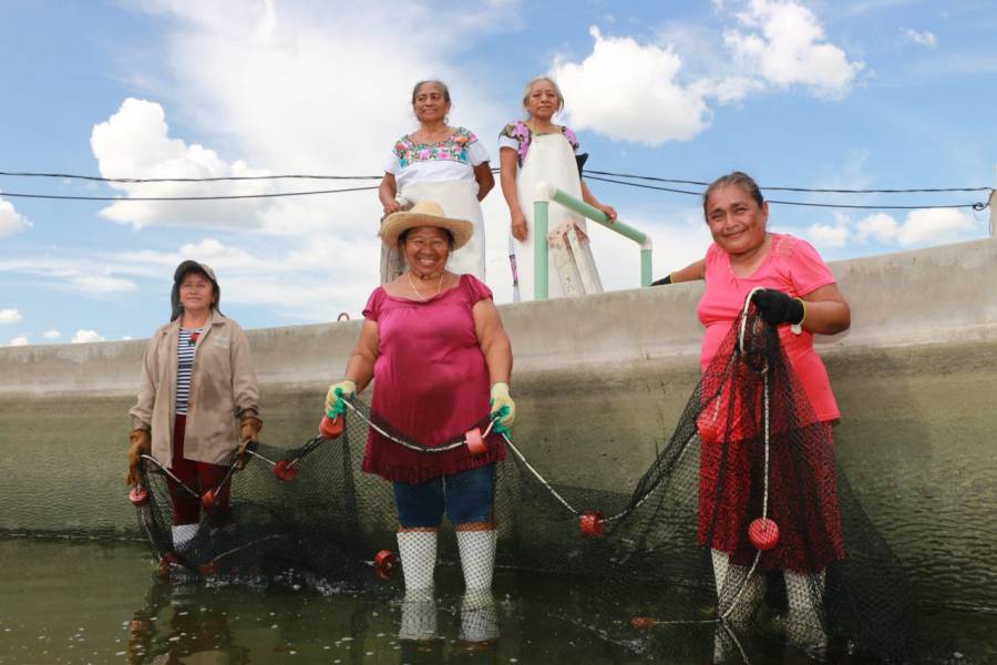 Agricultura reactiva la economía en localidades rurales de mujeres acuacultoras, comunidades indígenas y afrodescendientes