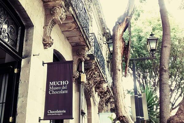 El Museo del Chocolate en CDMX abre sus puertas y deleita los sentidos