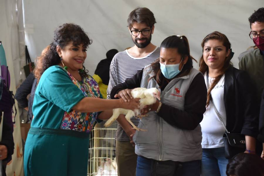 Iztapalapa pone en marcha programa alimenticio “Huevos en Casa”