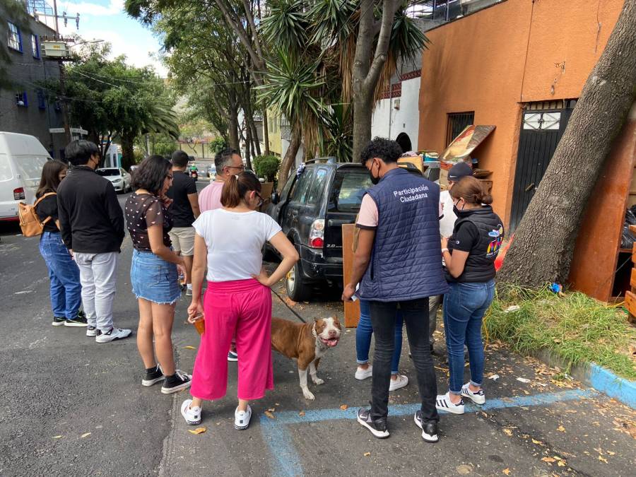 Alcaldía Miguel Hidalgo coadyuva en el traslado de perros hacinados