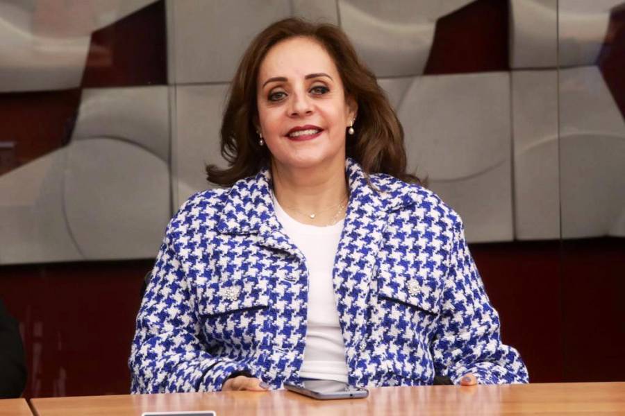 Pide licencia Yolanda de la Torre, diputada del PRI que propuso extender presencia militar en las calles