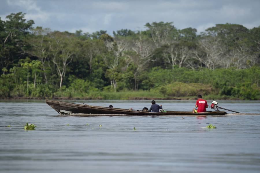 Perú perdió casi 138,000 hectáreas de bosques amazónicos en 2021