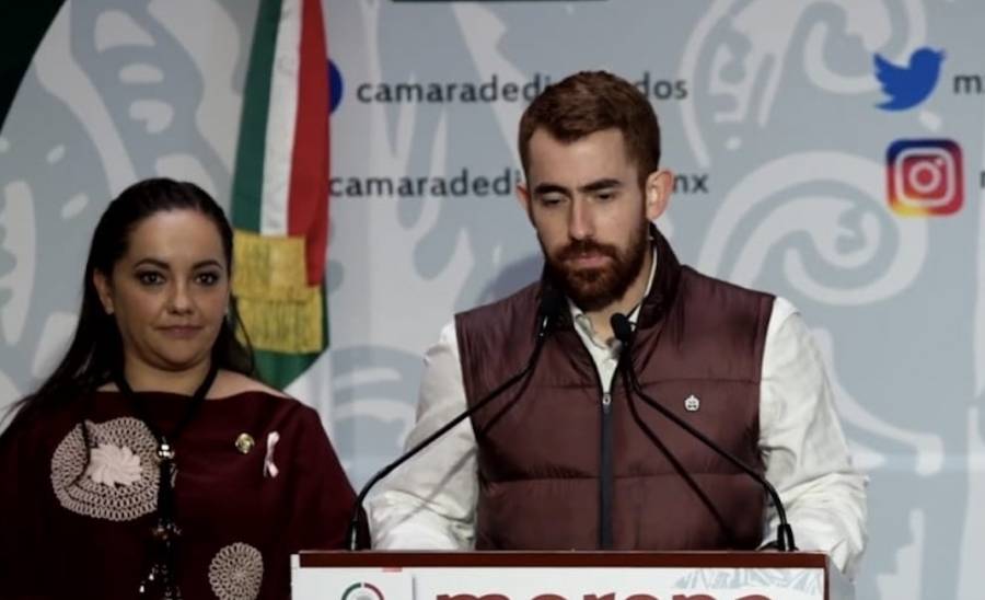 Morena llama a legislar a favor de bienestar animal