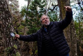 La alerta temprana del cambio climático suena en los bosques del fin del mundo