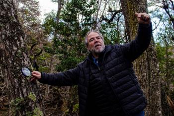 La alerta temprana del cambio clim&aacute;tico suena en los bosques del fin del mundo