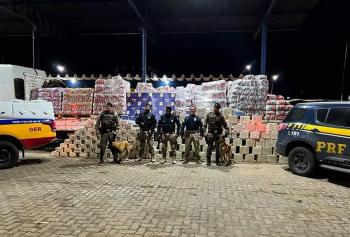 Polic&iacute;a brasile&ntilde;a incauta una tonelada de coca&iacute;na en arena para gatos