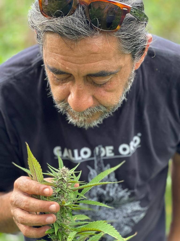 Julio Zenil, trae EXPOWEED a CDMX en su versión de Otoño