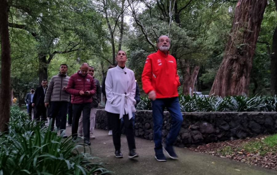 Sheinbaum pasea en Bosque de Chapultepec con el empresario Carlos Slim