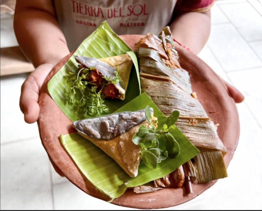 Centro Gastronómico Oaxaca reúne la riqueza culinaria de las 8 regiones de la entidad