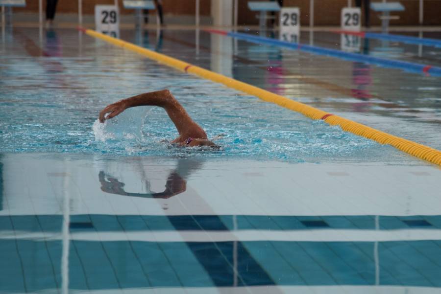 Quieres ir a nadar? Conoce precios y horarios de las albercas olímpicas en  la CDMX - ContraRéplica - Noticias