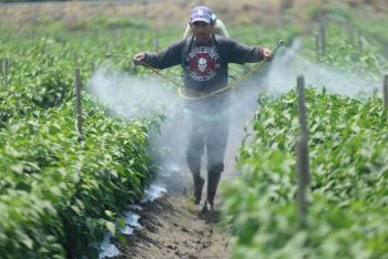 Agricultura cumple decreto presidencial para sustituir gradualmente el glifosato