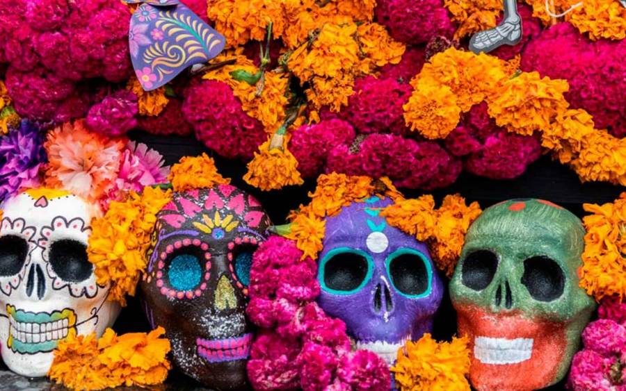 Garantizado abasto de flores de temporada para altares y ofrendas de D&iacute;a de Muertos