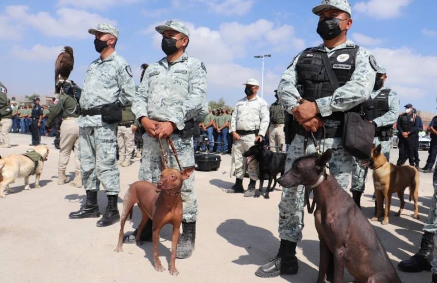 Congreso de SLP aprueba la permanencia del ejército en las calles