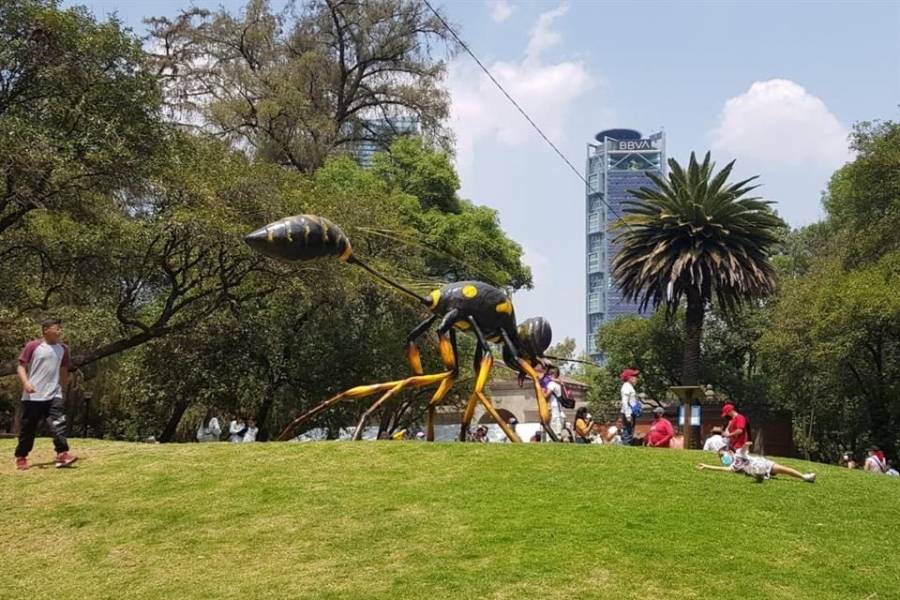 Hieren a paseantes en el Bosque de Chapultepec durante asalto