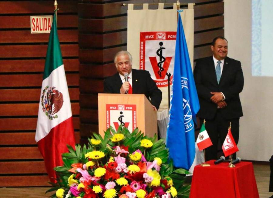 Sectur resalta segmento “Pet Friendly”