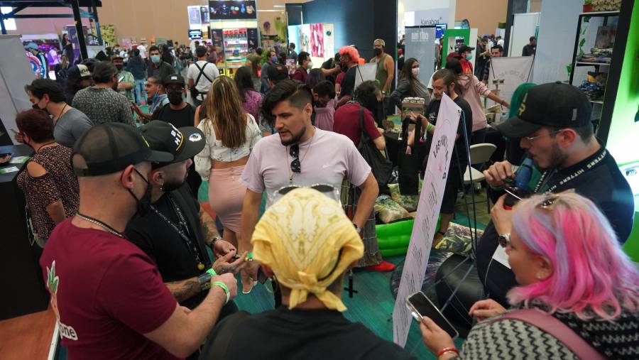 México recibe el Weed Trade Show en el World Trade Center