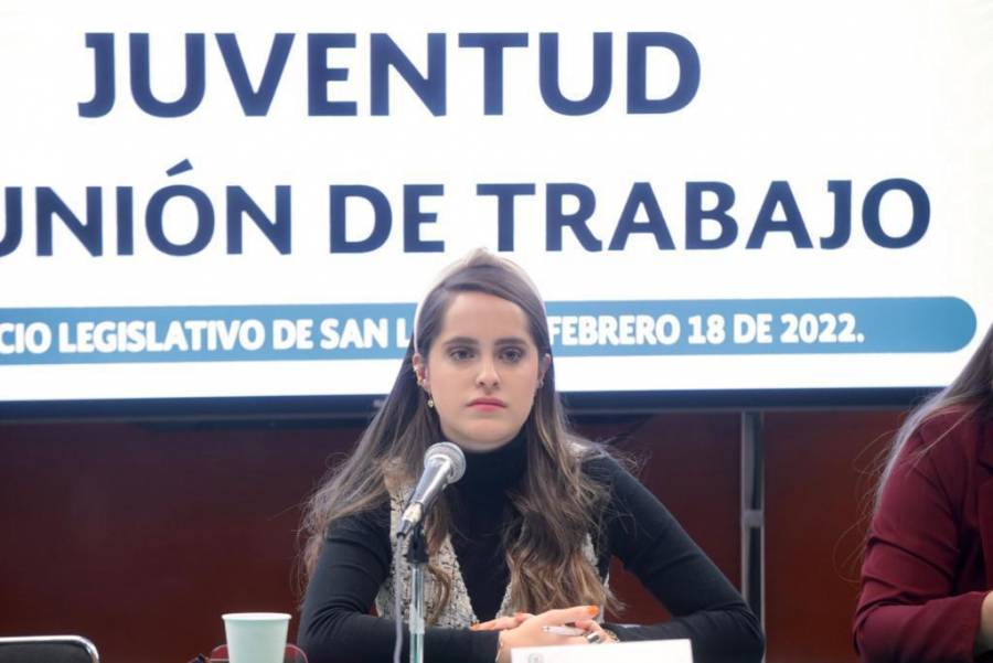 Jóvenes con 18 años cumplidos podrán ser diputados federales, y senadores a los 21: PRI