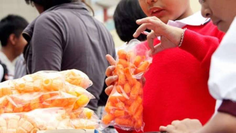 PVEM busca prohibir alimentos “chatarra” a menores