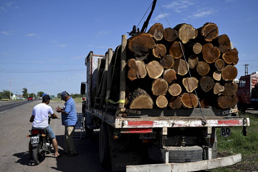 La UE prohíbe la importación de bienes procedentes de la deforestación