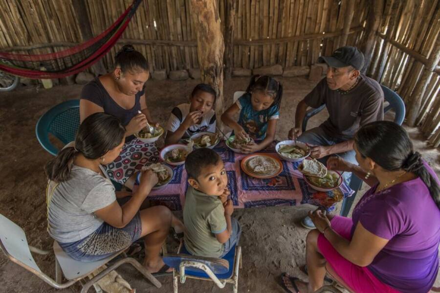 El hambre afecta a 56.5 millones en América Latina, 13.2 millones más que en 2019