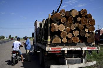 La UE proh&iacute;be la importaci&oacute;n de bienes procedentes de la deforestaci&oacute;n
