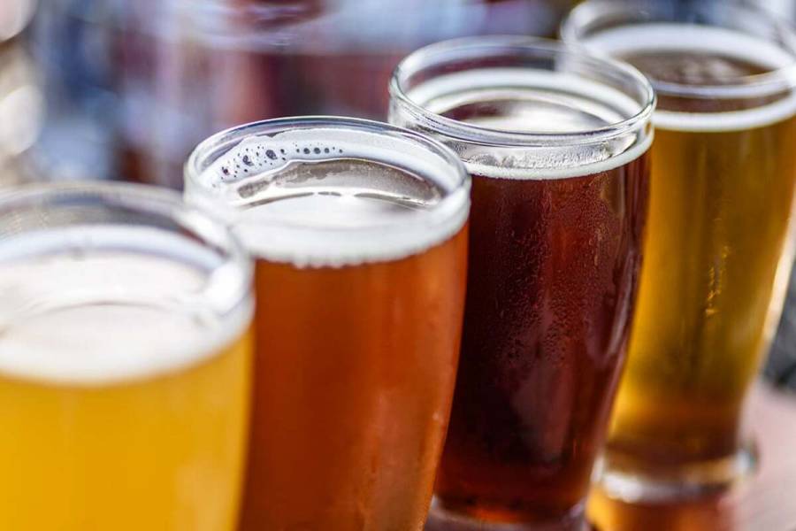 Sedeco y cerveceros artesanales presentan primera edición del festival 