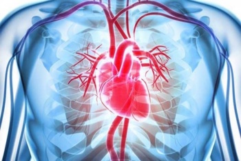 Innovaci&oacute;n m&eacute;dica: logran mejorar la durabilidad de v&aacute;lvulas &aacute;orticas
