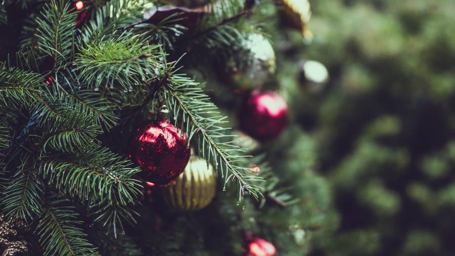Alcaldía Iztapalapa invita al encendido del Árbol de Navidad más grande de México