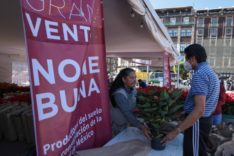 Realizan productores de Xochimilco gran venta de flor de nochebuena en el Zócalo Capitalino