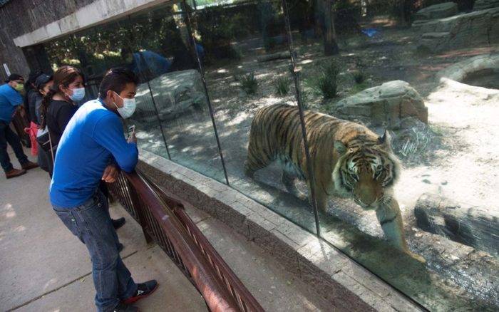 Zoológico de Chapultepec ya tiene emblema para celebrar sus 100 años