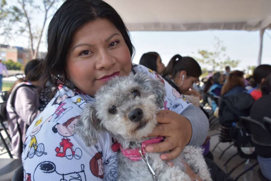 En Iztapalapa esterilizan a 30 mil perros y gatos durante 2022